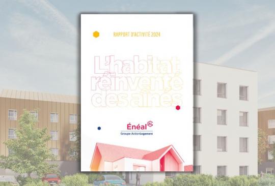 Rapport activité
