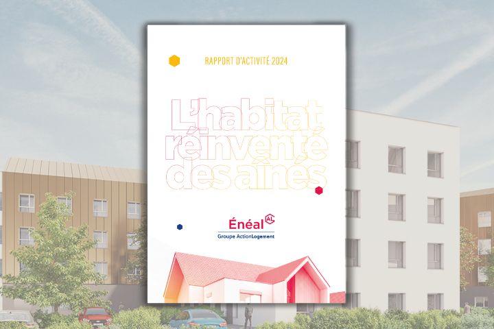 Rapport activité